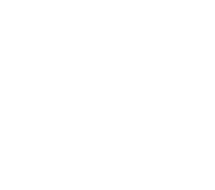 Colortone logo
